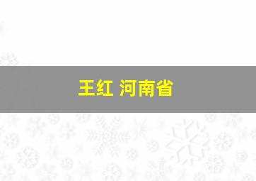 王红 河南省